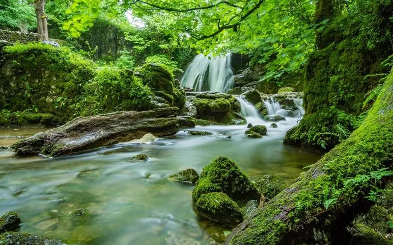绿色高性能